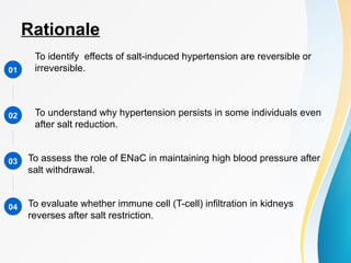 Dissociation of Hypertension and Renal Damage After Salt Cessation in ...