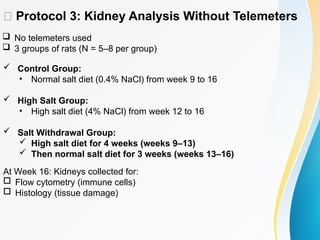 Dissociation of Hypertension and Renal Damage After Salt Cessation in ...