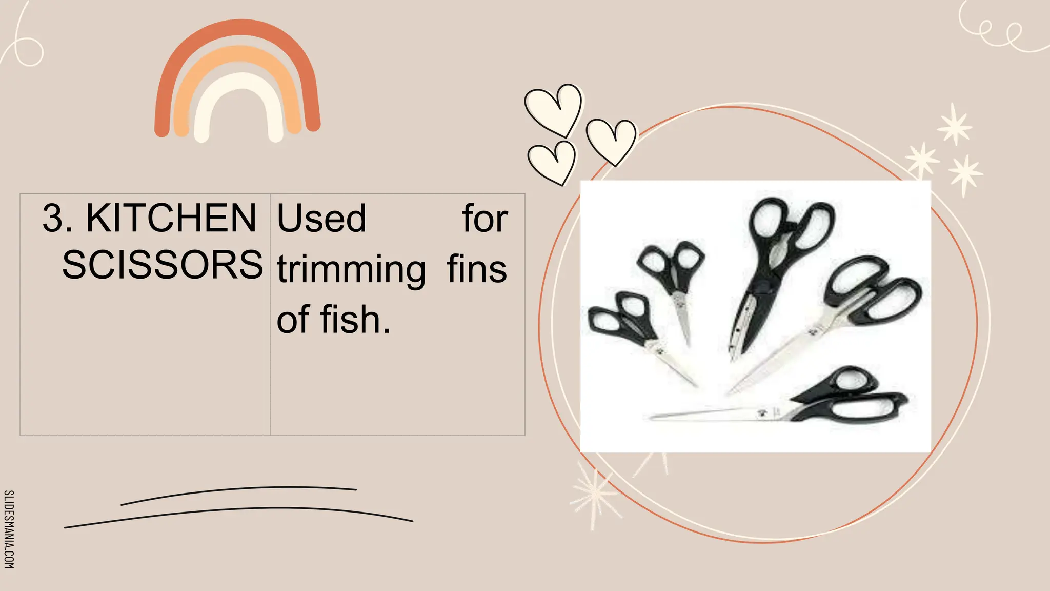 SLIDESMANIA.COM
3. KITCHEN
SCISSORS
Used for
trimming fins
of fish.
 