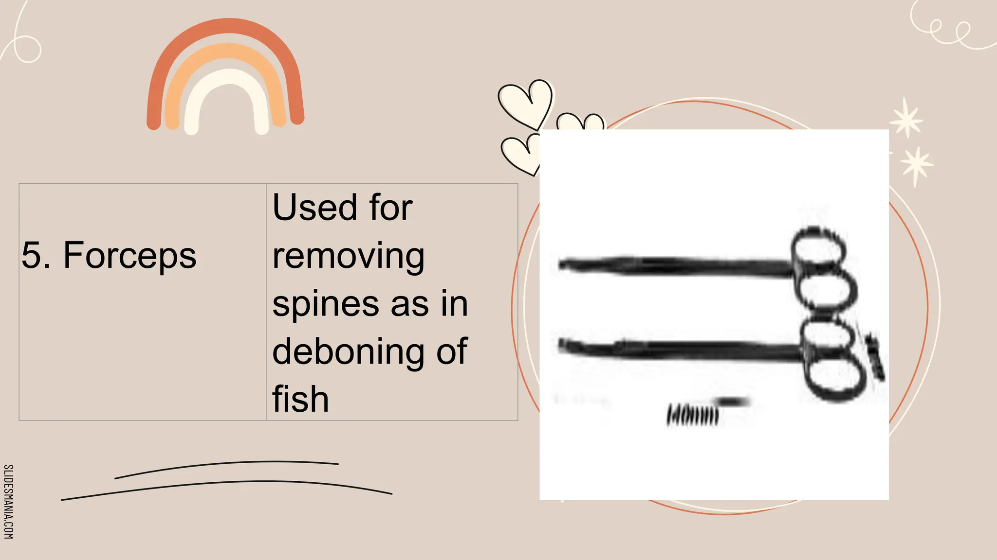 SLIDESMANIA.COM
5. Forceps
Used for
removing
spines as in
deboning of
fish
 