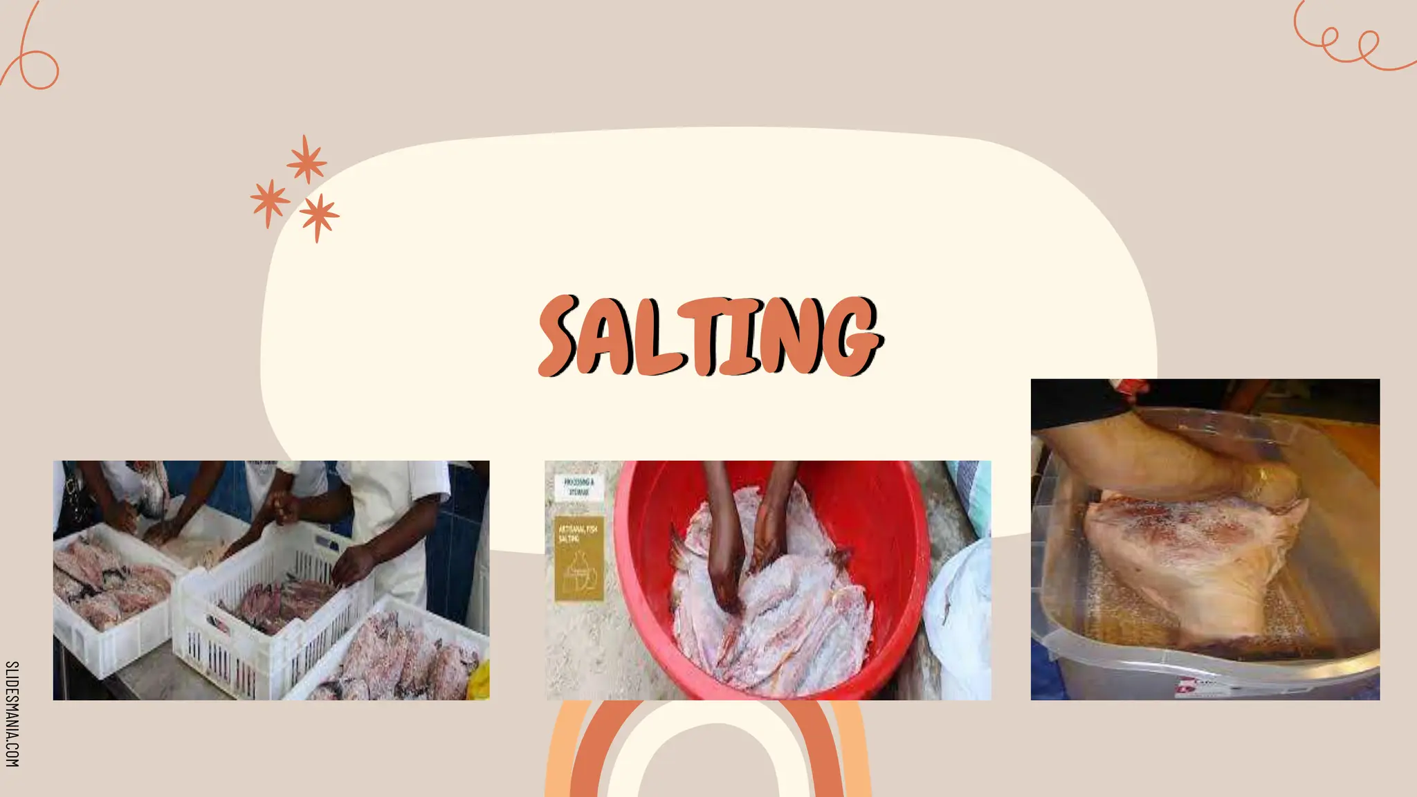 SLIDESMANIA.COM
SALTING
 