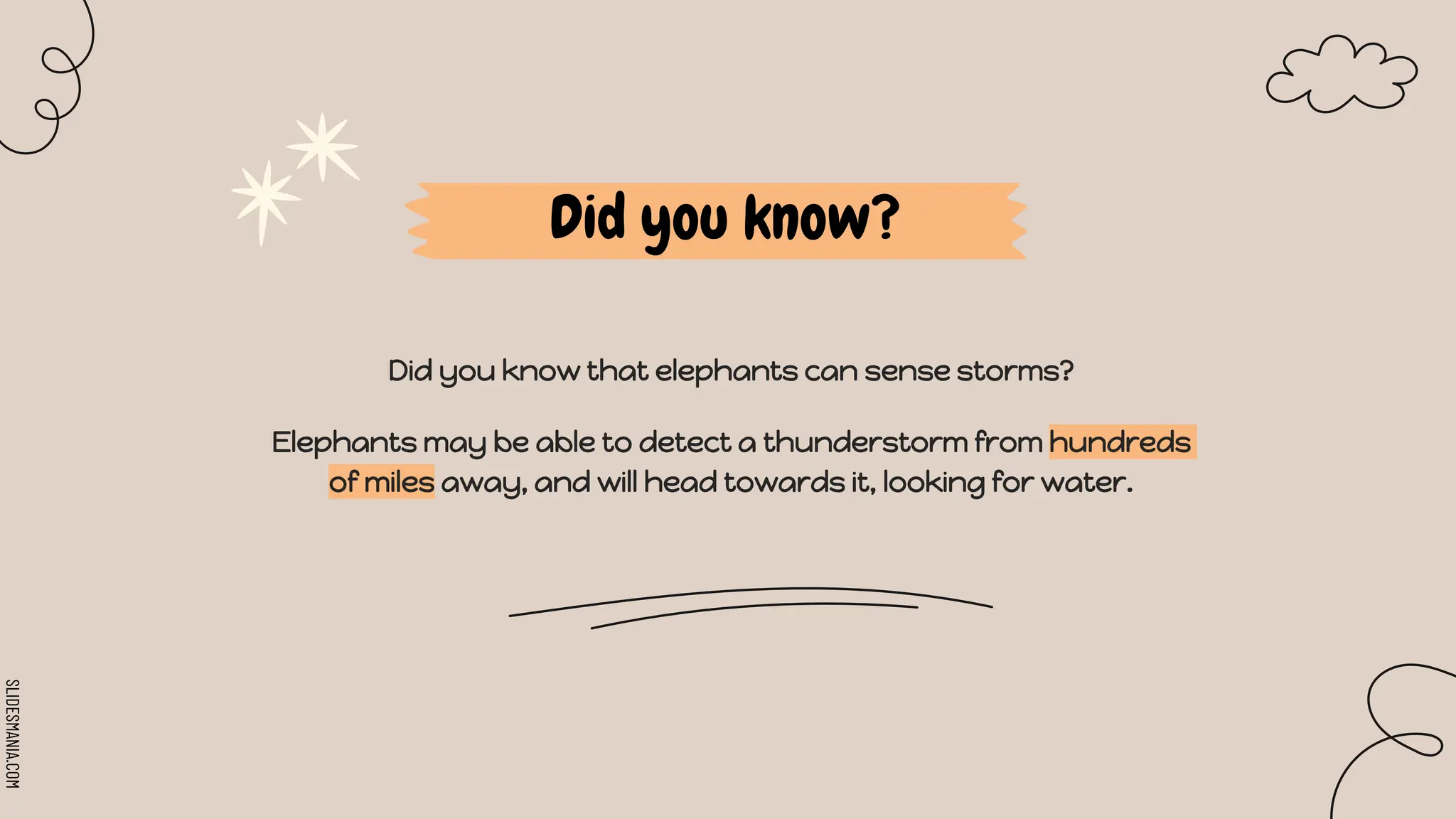 SLIDESMANIA.COM
Did you know?
Did you know that elephants can sense storms?
Elephants may be able to detect a thunderstorm from hundreds
of miles away, and will head towards it, looking for water.
 