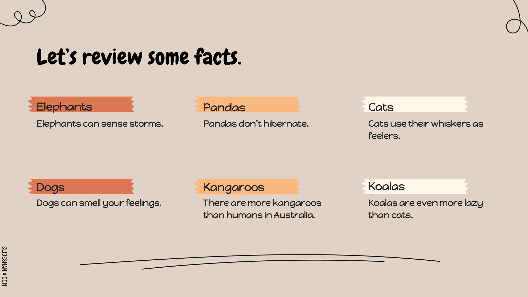 SLIDESMANIA.COM
Let’s review some facts.
Elephants
Koalas are even more lazy
than cats.
Dogs
Elephants can sense storms.
Cats
Dogs can smell your feelings.
Pandas
Kangaroos Koalas
Pandas don’t hibernate.
There are more kangaroos
than humans in Australia.
Cats use their whiskers as
feelers.
 
