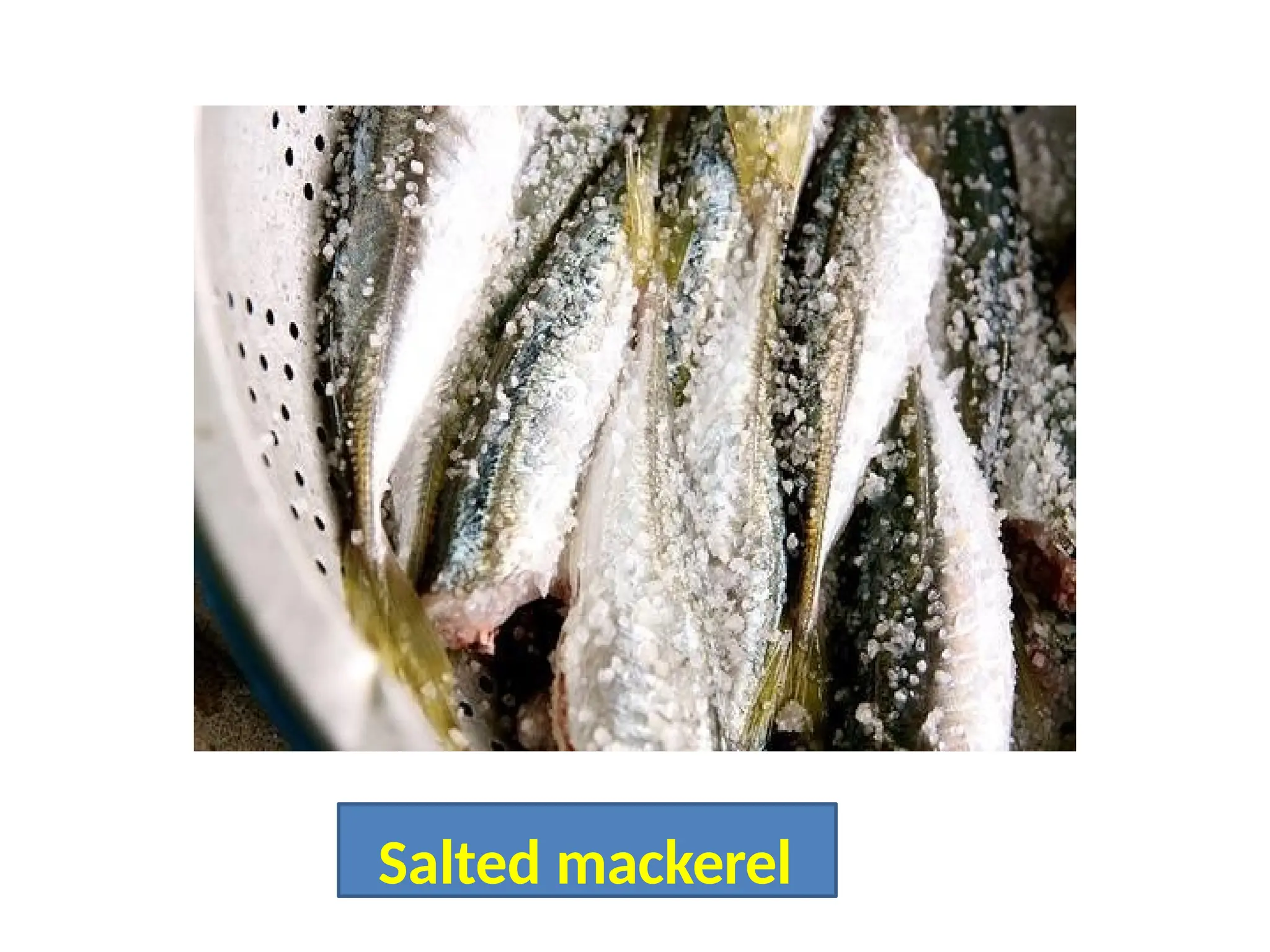 Salted mackerel
 