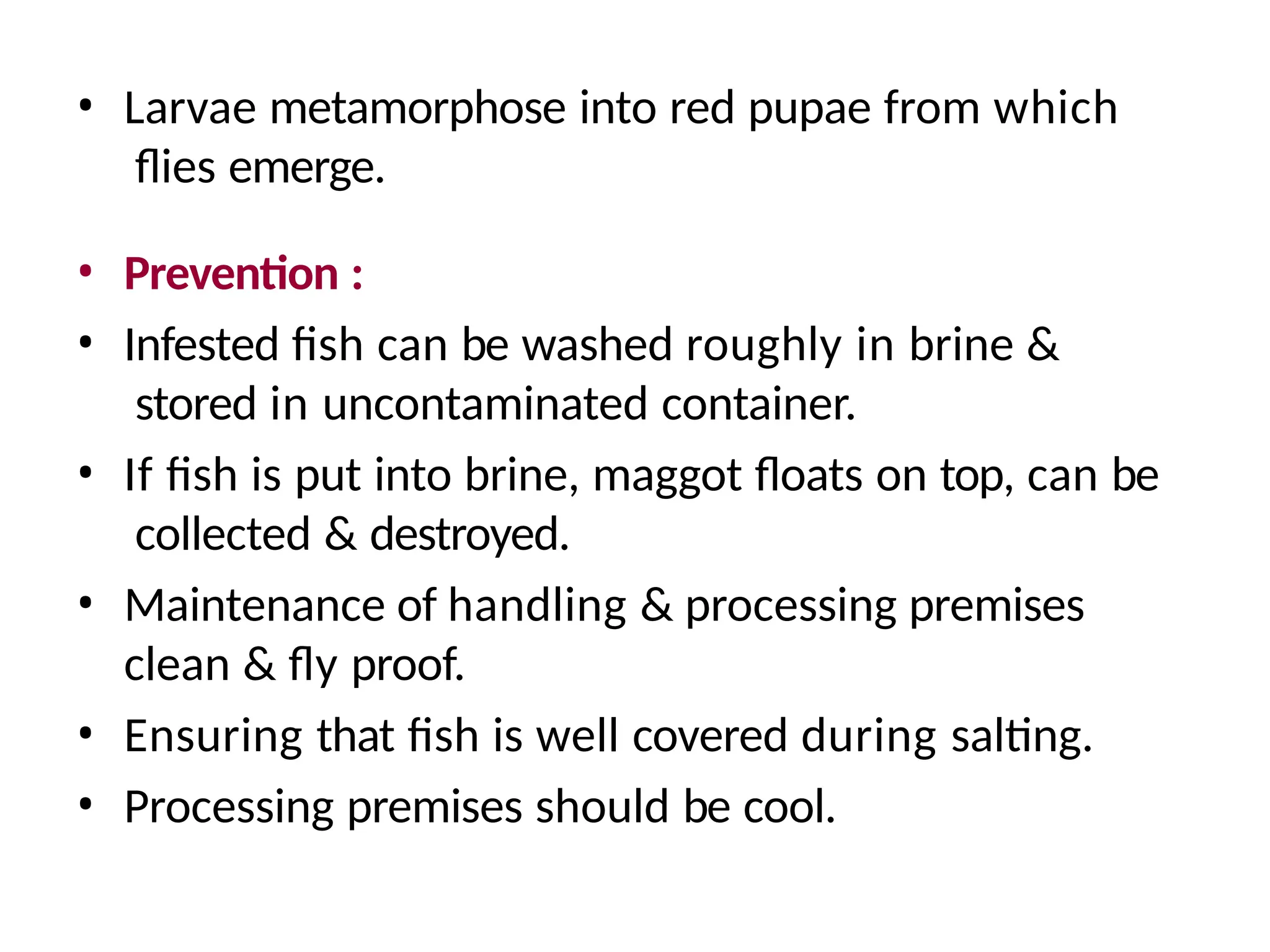• Larvae metamorphose into red pupae from which
flies emerge.
• Prevention :
• Infested fish can be washed roughly in brine &
stored in uncontaminated container.
• If fish is put into brine, maggot floats on top, can be
collected & destroyed.
• Maintenance of handling & processing premises
clean & fly proof.
• Ensuring that fish is well covered during salting.
• Processing premises should be cool.
 