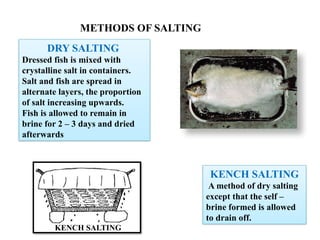 Salshing Process SALTING AND DRYING IN FISH PRESERVATION | PPTX