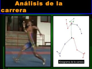 Análisis de la carrera Kinegrama de la carrera 