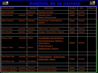 Análisis de la carrera ARTICULACION ACCION MUSCULOS PLANO EJE ANGULO Atlanto-Occipital Extensión Espinales cervicales Sagital Coronal Gleno-Humeral  izquierda  Flexión Deltoides anterior, Bíceps- Córaco braquial Sagital Coronal Gleno -Humeral  Derecha Extensión Dorsal ancho- Tríceps Deltoides posterior Sagital Coronal Coxo Femoral  Izquierda Extensión Glúteo mayor - Isquiotibiales Sagital Coronal Coxo Femoral  Derecha Flexión Iliosoaps - Recto anterior - Sartorio Sagital Coronal Femuro -Tibial  Izquierda Femuro - Tibial  Derecha Flexión Flexión Isquiotibiales (Semitendinoso, Semimembranoso, Glacilis o recto interno, Bíceps femoral.) Gastronemios, Sartorio. Sagital Coronal Tibio Fibulo Talar  Izquierda Tibio Fibulo Talar  Derecha Dorsiflexion  Dorsiflexion Tibial Anterior - Extensores dedos-Ext. hallux Sagital Coronal Metatarso Falangica  Izquierda Extensión Extensores de los dedos Sagital Coronal Metatarso Falangica  Derecha Extensión Extensores de los dedos Sagital Coronal 