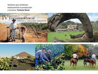 Sectores que combinan exitosamente la producción y turismo:  Turismo Rural 