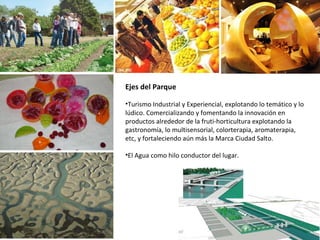 Ejes del Parque Turismo Industrial y Experiencial, explotando lo temático y lo lúdico. Comercializando y fomentando la innovación en productos alrededor de la fruti-horticultura explotando la gastronomía, lo multisensorial, colorterapia, aromaterapia, etc, y fortaleciendo aún más la Marca Ciudad Salto.  El Agua como hilo conductor del lugar. 