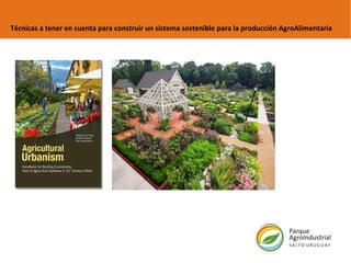 Técnicas a tener en cuenta para construir un sistema sostenible para la producción AgroAlimentaria 