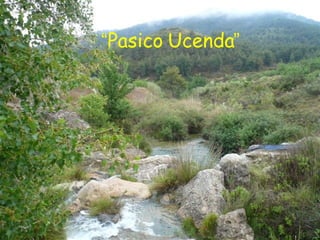 “ Pasico Ucenda ” 