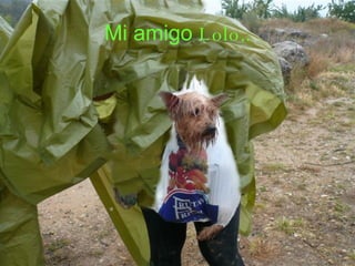 Mi amigo  Lolo.. 