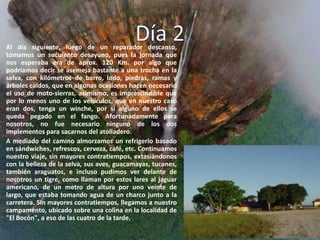 Al día siguiente, luego de un reparador descanso,
tomamos un suculento desayuno, pues la jornada que
nos esperaba era de aprox. 120 Km. por algo que
podríamos decir se asemeja bastante a una trocha en la
selva, con kilómetros de barro, lodo, piedras, ramas y
árboles caídos, que en algunas ocasiones hacen necesario
el uso de moto-sierras, asimismo, es imprescindible que
por lo menos uno de los vehículos, que en nuestro caso
eran dos, tenga un winche, por si alguno de ellos se
queda pegado en el fango. Afortunadamente para
nosotros, no fue necesario ninguno de los dos
implementos para sacarnos del atolladero.
A mediado del camino almorzamos un refrigerio basado
en sándwiches, refrescos, cerveza, café, etc. Continuamos
nuestro viaje, sin mayores contratiempos, extasiándonos
con la belleza de la selva, sus aves, guacamayas, tucanes,
también araguatos, e incluso pudimos ver delante de
nosotros un tigre, como llaman por estos lares al jaguar
americano, de un metro de altura por uno veinte de
largo, que estaba tomando agua de un charco junto a la
carretera. Sin mayores contratiempos, llegamos a nuestro
campamento, ubicado sobre una colina en la localidad de
"El Bocón", a eso de las cuatro de la tarde.
 