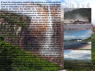 Al tercer día, desayunamos completo, pues tendríamos la jornada más fuerte
de toda la excursión, Para empezar, lo hicimos durante hora y cuarto de Bocón
hasta un embarcadero en el majestuoso río Caroní, un de los principales
afluentes del Orinoco. Nos esperaba una "curiara" (Canoa hecha por los
pemones, habitantes de toda la llamada Gran Sabana venezolana, de un solo
tronco ahuecado de madera autóctona de la selva, con un motor poderoso
fuera de borda).-maniobrada por 2 pemones, remontamos el Caroní por un
trecho no muy largo, hasta el Salto de las Babas (nombre de un pequeño
caimán de los ríos de esta zona), donde tuvimos que bajarnos y caminar unos
veinte minutos, contemplando este bello salto, para juntarnos nuevamente
con nuestra curiara, que nos transportó nuevamente por el río, hasta el sitio
donde comenzaríamos nuestra ruta hasta Canaima. iniciamos la primera
ascensión por la selva, subiendo y bajando un frondoso cerro, cuyo suelo
estaba cubierto de hojas y raíces, que a veces te ayudaban a trepar y otras te
hacían resbalar, de todas maneras hay que estar muy pendiente de no
enredarte en las raíces, pues un esguince en ese lugar no es aconsejable. Al
llegar al plano, atravesamos unas plantaciones y nuevamente empezamos a
subir el segundo cerro, esta vez mucho más empinado que el anterior, por lo
tanto más fatigoso. Pero al llegar a la cumbre, tuvimos el premio por la
extenuante jornada, fue comenzar a bajar contemplando a lo lejos los saltos
de la laguna de Canaima y detrás, la majestuosidad de los "Tepuyes", típica
montaña de la Gran Sabana venezolana. Al llegar a la planicie, nos esperaba
una camioneta que nos llevaría hasta nuestra posada, la Posada Kaikuse (tigre
en pemón) donde nos atendió acogedoramente su propietaria, la señora
Esperanza Jiménez, esforzada pionera de esta región. Allí nos informaron que
existía la oportunidad de visitar de cerca el Salto Angel, yendo por curiara por
el río Carrao, que vierte sus aguas en la laguna de Canaima y luego por el
afluente de éste, el Churún que recibe las aguas de la cascada más alta del
mundo, desde allí deberíamos ascender una montaña que nos permitiría
contemplar de frente al majestuoso Churún-Merú, que es el nombre indígena
del Salto Angel.
 