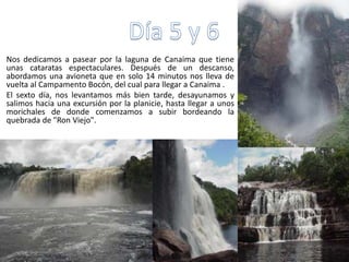 Nos dedicamos a pasear por la laguna de Canaima que tiene
unas cataratas espectaculares. Después de un descanso,
abordamos una avioneta que en solo 14 minutos nos lleva de
vuelta al Campamento Bocón, del cual para llegar a Canaima .
El sexto día, nos levantamos más bien tarde, desayunamos y
salimos hacia una excursión por la planicie, hasta llegar a unos
morichales de donde comenzamos a subir bordeando la
quebrada de "Ron Viejo".
 