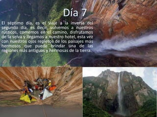 El séptimo día, es el viaje a la inversa del
segundo día, es decir, volvemos a nuestros
rústicos, comemos en el camino, disfrutamos
de la selva y llegamos a nuestro hotel, esta vez
con nuestros ojos repletos de los paisajes más
hermosos que puede brindar una de las
regiones más antiguas y hermosas de la tierra.
 