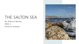 THE SALTON SEA
By: Rebecca Mackay
PHSC 2
Professor Schmidt
 