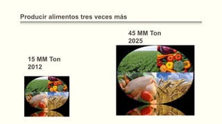 Producir alimentos tres veces más
45 MM Ton
2025
15 MM Ton
2012

 