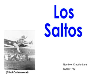Nombre: Claudio Lara Curso:1º C Los Saltos (Ethel Catherwood). 