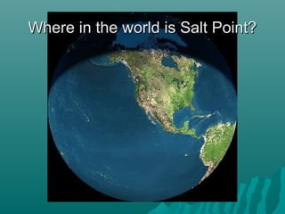 Where in the world is Salt Point?Where in the world is Salt Point?
 