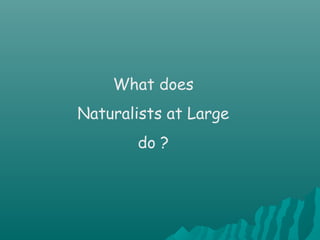 What does
Naturalists at Large
do ?
 