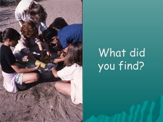 What did
you find?
 
