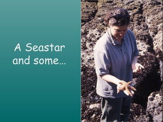 A Seastar
and some…
 