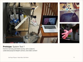 Prototype: System Test 1 
Camera sensing, peristaltic pump, salt sculpture,
calibrated projector/depth camera, test video content

Salt Project Proposal - Shobun Baile + Brett Renfer

1
!2

 