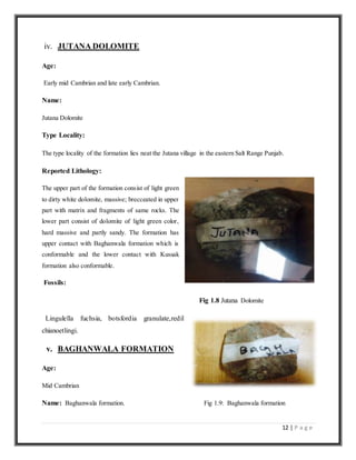 12 | P a g e
iv. JUTANA DOLOMITE
Age:
Early mid Cambrian and late early Cambrian.
Name:
Jutana Dolomite
Type Locality:
The type locality of the formation lies neat the Jutana village in the eastern Salt Range Punjab.
Reported Lithology:
The upper part of the formation consist of light green
to dirty white dolomite, massive; brecceated in upper
part with matrix and fragments of same rocks. The
lower part consist of dolomite of light green color,
hard massive and partly sandy. The formation has
upper contact with Baghanwala formation which is
conformable and the lower contact with Kussak
formation also conformable.
Fossils:
Fig 1.8 Jutana Dolomite
Lingulella fuchsia, botsfordia granulate,redil
chianoetlingi.
v. BAGHANWALA FORMATION
Age:
Mid Cambrian
Name: Baghanwala formation. Fig 1.9: Baghanwala formation
 