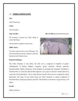 14 | P a g e
vii. TOBRAFORMATION
Age:
Early Permian age.
Name:
Tobra formation
Type Locality: fig 1.11 Pink granite(Tobraformation)
The formation is located near Tobra village in
eastern Salt Range.
The foramation comprises on three facies
Tillitic facies:
The facies exposed in the eastern Salt Range. The
rock unit graded into marine sandstone containing
Eurydesma and Conularia fauna
Reported Lithology:
The Tobra formation is true tillitic; the rock unit is composed of boulders of granite
withfragments of Quartz, feldspar, magnetite, garnet, claystone, siltstone, quartzite,
bituminousshale, diabase and gneiss. Some boulders are polished and scratched. According to
Teichert(1967) ice sheet that formed tillitic deposits is not a part of extensive inland sheet but it
wasresult of local glaciations. The ice sheet did not extend in the area now occupied by central
andwestern salt range. In the central range the Tobra formation is mainly composed of
freshwaterfacies comprising siltstone and shale. The thickness of formation at type locality is 20
meters.
Fossils:
Pollens and spores.
 