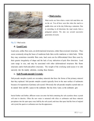 17 | P a g e
c.Mud cracks:
Mud cracks are form when a water rich mud dries out
on the air. You all have seen this when the mud in a
puddle dries out in the day following a rainstorm. Due
to stretching in all directions the mud cracks form a
polygonal pattern. We also see several successive
generation of cracks
Fig 2.2 Mud cracks
d. Load Cast:
Load casts, unlike flute casts, are deformational structures, rather than erosional structures. They
occur commonly along the bases of sandstone beds that overlie mudstone or shale beds. While
they may sometimes resemble flute casts, load casts can be differentiated from flute casts by
their greater irregularity of shape and the lack of any indication of pale flow direction. Load
casts range in size, and may be associated with other deformational structures like flame
structures and/or ball-and-pillow structures. The weight of the overlying sand causes it to sink
unevenly into the muddy substrate, creating these features.
e. Salt Pseudo morph Crystals:
Salt pseudo morphs crystals are secondary minerals that have the forms of the primary mineral
that they replaced. Salt pseudo morphs crystals typically form in the near surface of sediments
because of evaporation of primary salt crystal. Obviously the salt pseudo morphs crystals take on
its natural form and fill a space in the sediments that has form. Later, as the sediments gets
buried further and further, different water can enter the beds containing the salt crystalsso those crystals
will start to dissolve. Often the new water is saturated with silica or carbonates and these minerals
precipitates into the open space once held by the salt crystal, and since that space had the form of original
salt crystal, the quartz or carbonates now has the appearance.
 