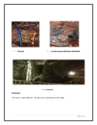 9 | P a g e
fig 1.2 Red marl fig 1.3 irregular gypsum Billianwala Salt Member
fig 1.4 Stalagmites
Stalagmites
The lower is called Stillicmite Also this salt is evaporating towards ceiling.
 