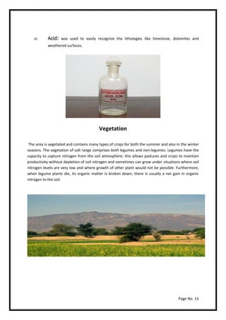 Page No. 11
vi. Acid: was used to easily recognize the lithologies like limestone, dolomites and
weathered surfaces.
Vegetation
The area is vegetated and contains many types of crops for both the summer and also in the winter
seasons. The vegetation of salt range comprises both legumes and non-legumes. Legumes have the
capacity to capture nitrogen from the soil atmosphere; this allows pastures and crops to maintain
productivity without depletion of soil nitrogen and sometimes can grow under situations where soil
nitrogen levels are very low and where growth of other plant would not be possible. Furthermore,
when legume plants die, its organic matter is broken down; there is usually a net gain in organic
nitrogen to the soil.
 