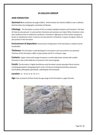Page No. 30
14-ZALUCH GROUP
AMB FORMATION
Synonym:Amb sandstone by wagen (1891), Amb formation by Teichert (1966) is now is called as
Amb formation by stratigraphic committee of Pakistan.
Lithology: This formation is concist of thin to medium bedded sandsone and limestone. Thin bed
of shale are also present. In some portion limestone and sanstone are mixed. When limestone is less
than sandstone than its called limy sandstone. Limestone is light grey on fresh surface and grey to
brown on weathered surface. Fractures are also present in limestone. In layers of organic shale are
also present in this formation.
Environment of deposition: Environment of deposition of this formation is shallow marine
to palludale.
Thickness: This formation is well developed in the western salt rane and thin out eastward.
Thickness of this formation is 80m in type locality and 47 m in khissor range.
Contacts: Upper cintact with wargar limestone is confirmable lower contact with sardhai
formation is also confirmable but no present in the nammal gorge.
Fossils: The formation is highly fossiliferous amb formation contain abundant floral remains,
including glossopteris and gangamoteris and a rich fauna including foraminifera, bryozone,
brachiopods, pelecypods, gastropods, cephalopods and ostropods.
Location: 32 ° 78’ 33” N; 78 ° 64’ 72” S
Age: Due to present of these fossils the age assign to this formation is upper Permian.
 