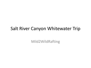 Salt River Canyon Whitewater Trip Mild2WildRafting 