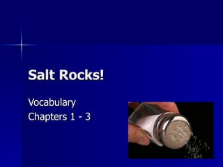 Salt Rocks!
Vocabulary
Chapters 1 - 3
 