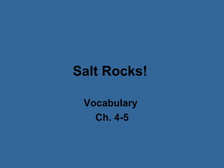 Salt Rocks!

 Vocabulary
   Ch. 4-5
 