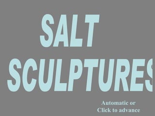 Automatic or  Click to advance SALT  SCULPTURES 
