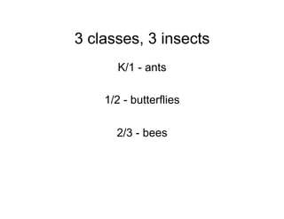 3 classes, 3 insects
      K/1 - ants

    1/2 - butterflies

      2/3 - bees
 