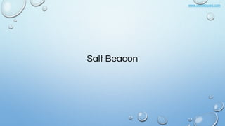 www.vishalbiyani.com
Salt Beacon
 