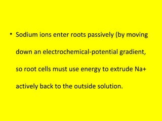 • Sodium ions enter roots passively (by moving
down an electrochemical-potential gradient,
so root cells must use energy to extrude Na+
actively back to the outside solution.
 