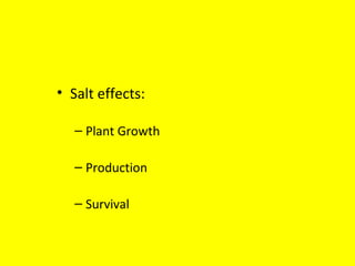 • Salt effects:
– Plant Growth
– Production
– Survival
 