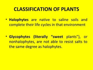 CLASSIFICATION OF PLANTS
• Halophytes are native to saline soils and
complete their life cycles in that environment
• Glycophytes (literally “sweet plants”), or
nonhalophytes, are not able to resist salts to
the same degree as halophytes.
 