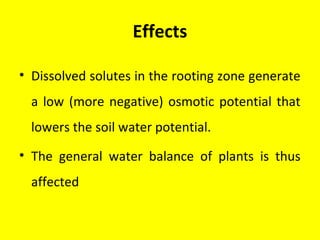 Effects
• Dissolved solutes in the rooting zone generate
a low (more negative) osmotic potential that
lowers the soil water potential.
• The general water balance of plants is thus
affected
 