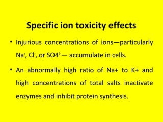 Specific ion toxicity effects
• Injurious concentrations of ions—particularly
Na+
, Cl–
, or SO42–
— accumulate in cells.
• An abnormally high ratio of Na+ to K+ and
high concentrations of total salts inactivate
enzymes and inhibit protein synthesis.
 