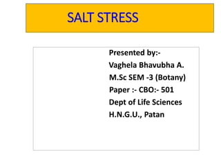 SALT STRESS
Presented by:-
Vaghela Bhavubha A.
M.Sc SEM -3 (Botany)
Paper :- CBO:- 501
Dept of Life Sciences
H.N.G.U., Patan
 