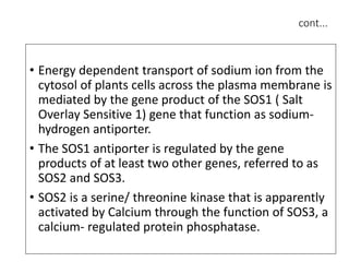 cont...
• Energy dependent transport of sodium ion from the
cytosol of plants cells across the plasma membrane is
mediated by the gene product of the SOS1 ( Salt
Overlay Sensitive 1) gene that function as sodium-
hydrogen antiporter.
• The SOS1 antiporter is regulated by the gene
products of at least two other genes, referred to as
SOS2 and SOS3.
• SOS2 is a serine/ threonine kinase that is apparently
activated by Calcium through the function of SOS3, a
calcium- regulated protein phosphatase.
 