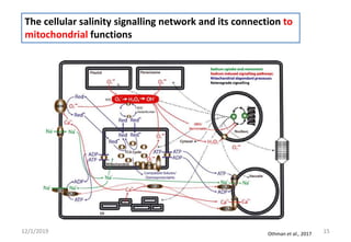 Salt stressRole of Organelle Membranes in Salt Stress Sensing and ...