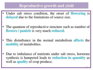 Breeding for Salt tolerance | PPTX